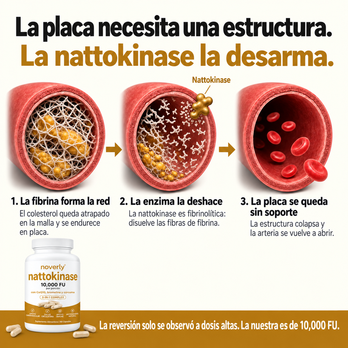 Nattokinasa de máxima potencia 10 000 FU — Apoyo circulatorio