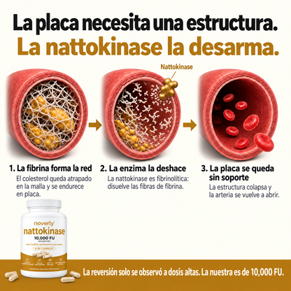Nattokinasa de máxima potencia 10 000 FU — Apoyo circulatorio